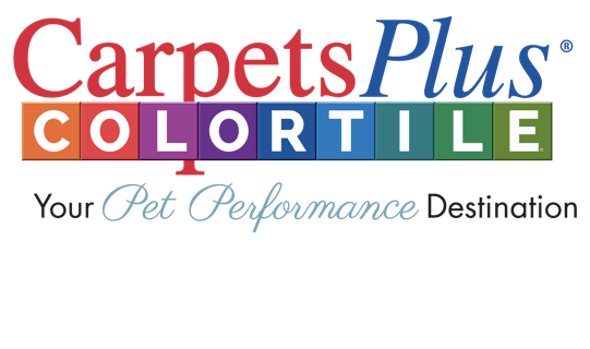 colortile your pet performance destination | Rocky Mountain Flooring